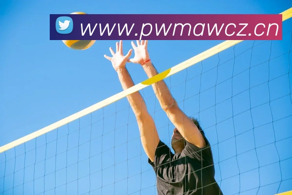 米兰app体育安全登录入口服务体系