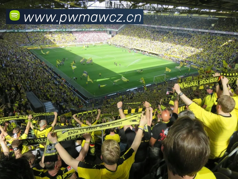 多媒体互动体验